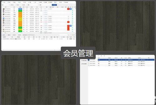 格齐销售管理软件v3.3.1.2免费版下载指南